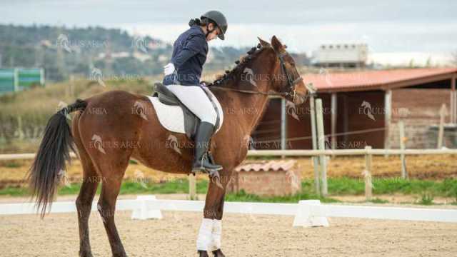 DOMA02032025S-545