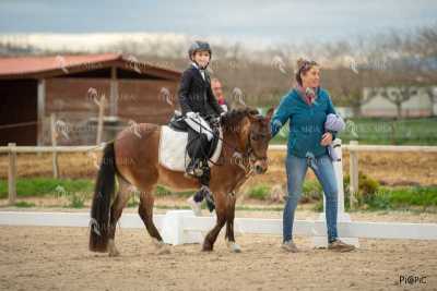 DOMA02032025S-555