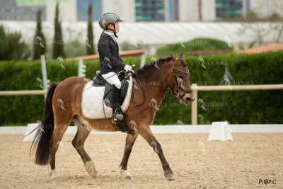 DOMA02032025S-560