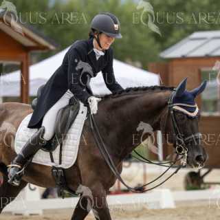 Cerdanya Dressage Tour 6-7.07 / 10-11.07.2024