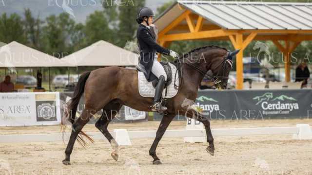 GRAN-PREMIO-08