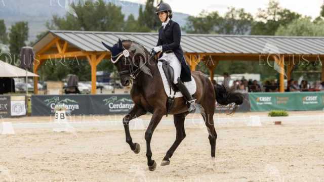 GRAN-PREMIO-12