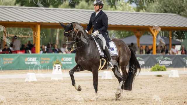GRAN-PREMIO-14