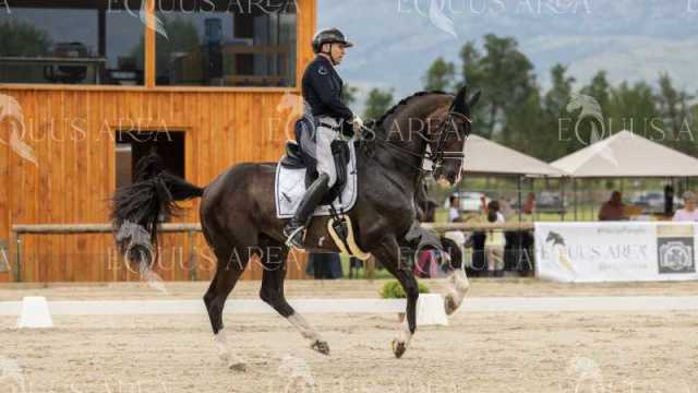 GRAN-PREMIO-15