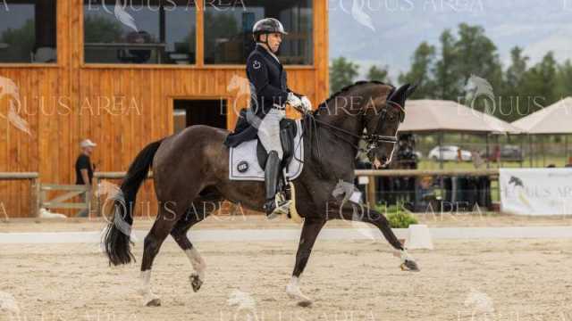 GRAN-PREMIO-16