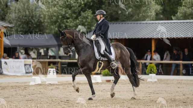 GRAN-PREMIO-17