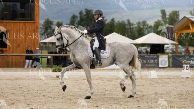 GRAN-PREMIO-18