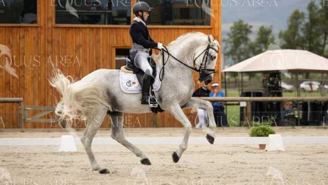 GRAN-PREMIO-19
