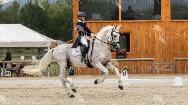 GRAN-PREMIO-20