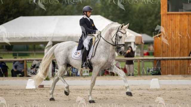 GRAN-PREMIO-21