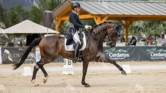 GRAN-PREMIO-22