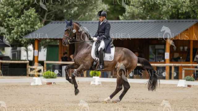 GRAN-PREMIO-23