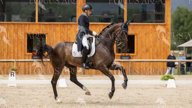 GRAN-PREMIO-24