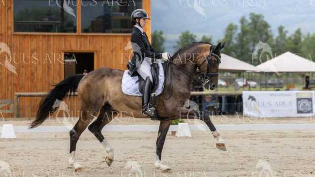 GRAN-PREMIO-4
