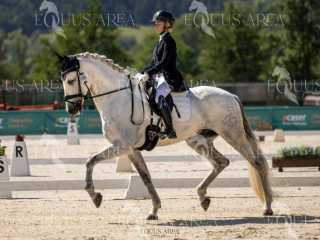 Juveniles 0* Individual | Domingo 07 Julio