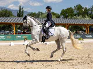 SUMMER DRESSAGE TOUR