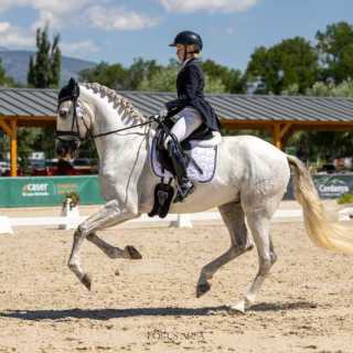 SUMMER DRESSAGE TOUR