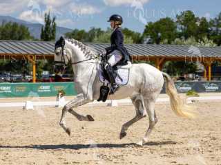 SUMMER DRESSAGE TOUR