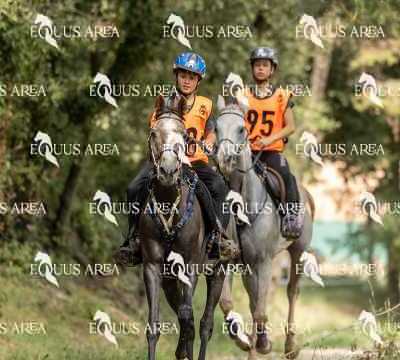 Raid-St-Bartomeu-EQUUS-AREA-002