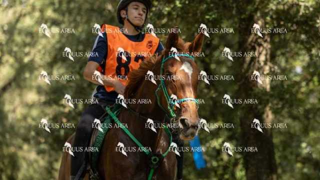 Raid-St-Bartomeu-EQUUS-AREA-003