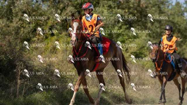 Raid-St-Bartomeu-EQUUS-AREA-004