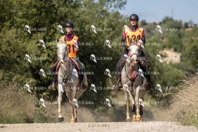 Raid-St-Bartomeu-EQUUS-AREA-009