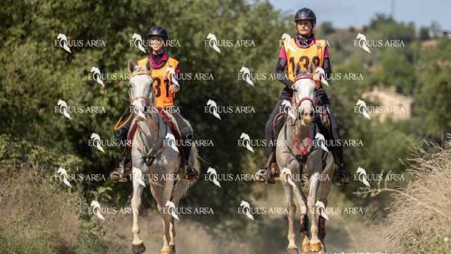 Raid-St-Bartomeu-EQUUS-AREA-009