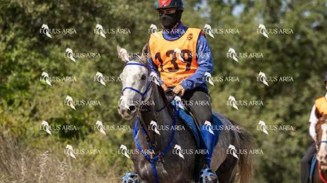 Raid-St-Bartomeu-EQUUS-AREA-013