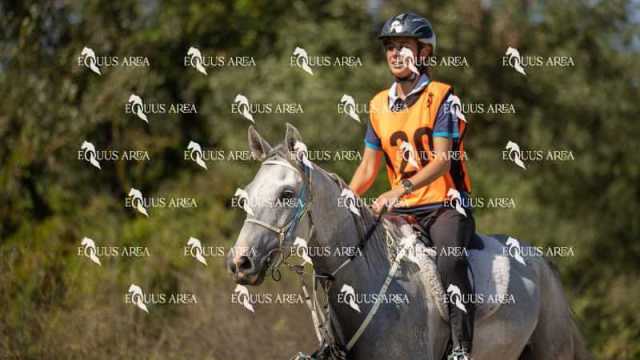 Raid-St-Bartomeu-EQUUS-AREA-014