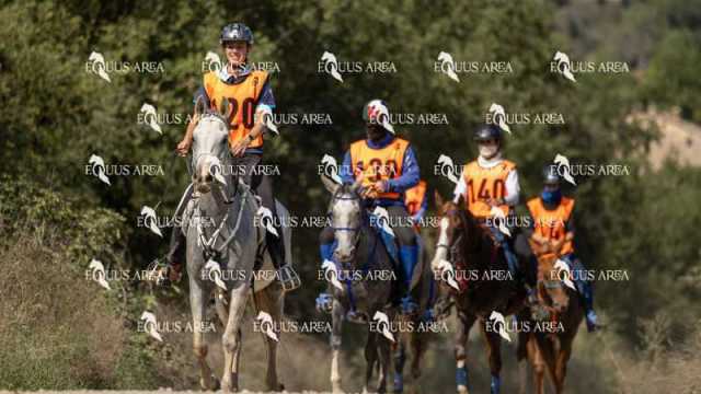 Raid-St-Bartomeu-EQUUS-AREA-015