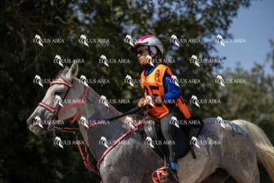 Raid-St-Bartomeu-EQUUS-AREA-017