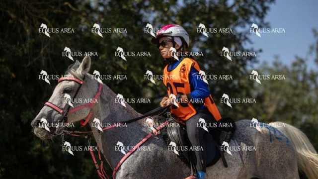 Raid-St-Bartomeu-EQUUS-AREA-017