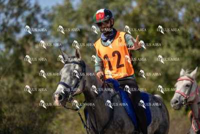 Raid-St-Bartomeu-EQUUS-AREA-019