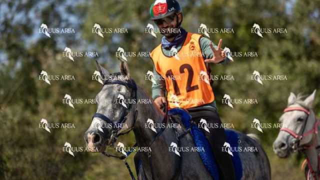 Raid-St-Bartomeu-EQUUS-AREA-019