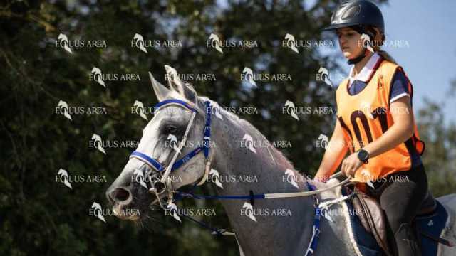 Raid-St-Bartomeu-EQUUS-AREA-022