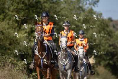 Raid-St-Bartomeu-EQUUS-AREA-026