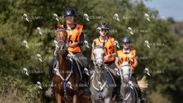 Raid-St-Bartomeu-EQUUS-AREA-026