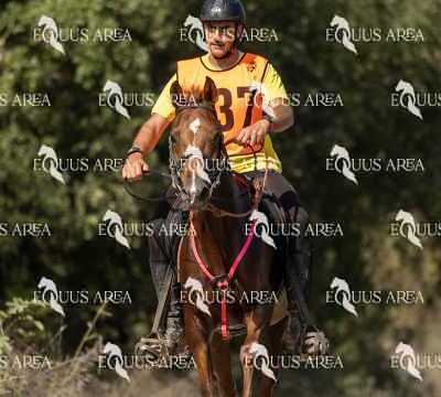 Raid-St-Bartomeu-EQUUS-AREA-029