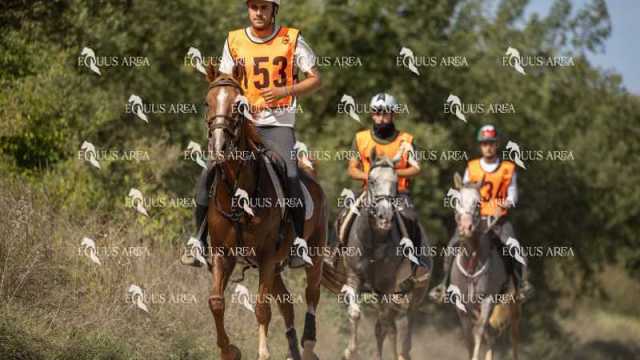 Raid-St-Bartomeu-EQUUS-AREA-032