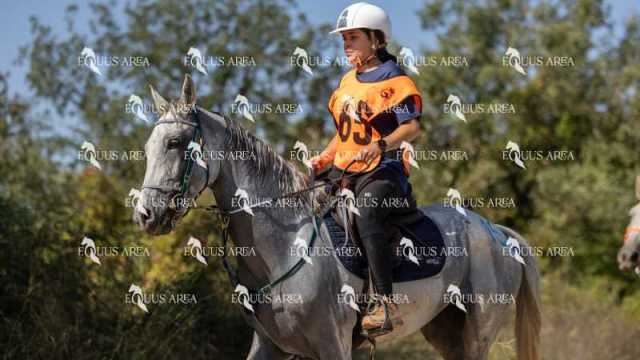 Raid-St-Bartomeu-EQUUS-AREA-034