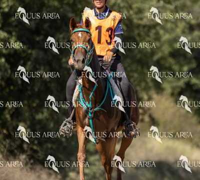 Raid-St-Bartomeu-EQUUS-AREA-041