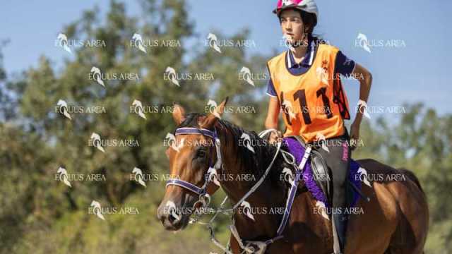 Raid-St-Bartomeu-EQUUS-AREA-042