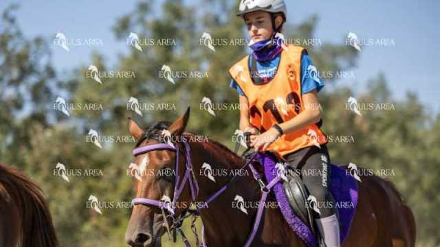 Raid-St-Bartomeu-EQUUS-AREA-043
