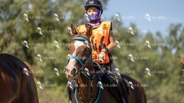 Raid-St-Bartomeu-EQUUS-AREA-044