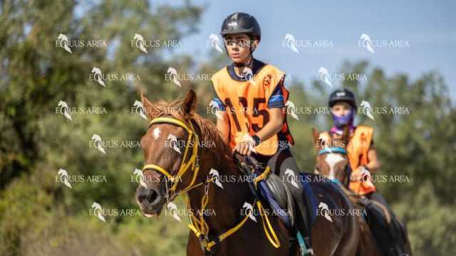 Raid-St-Bartomeu-EQUUS-AREA-045