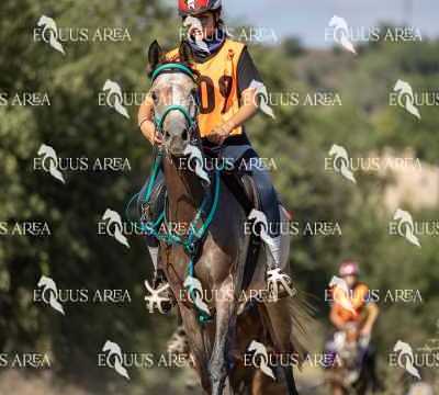 Raid-St-Bartomeu-EQUUS-AREA-048