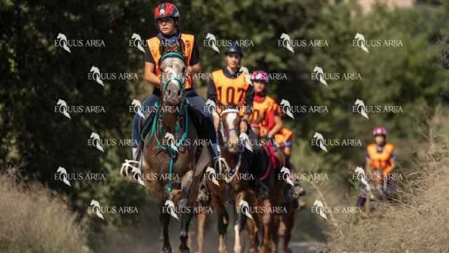 Raid-St-Bartomeu-EQUUS-AREA-049