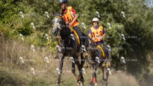 Raid-St-Bartomeu-EQUUS-AREA-051