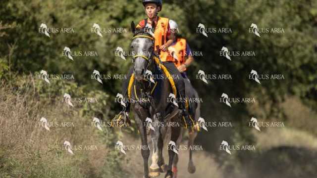 Raid-St-Bartomeu-EQUUS-AREA-052