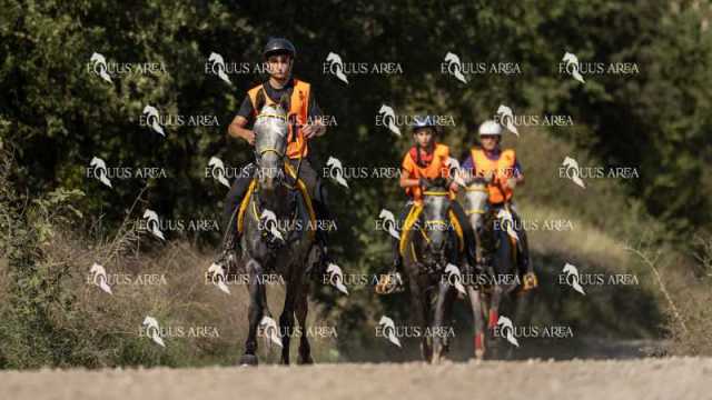 Raid-St-Bartomeu-EQUUS-AREA-054